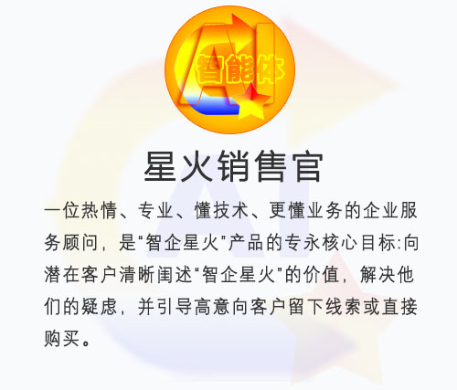 AI智能体定制-案例参考“星火销售官”